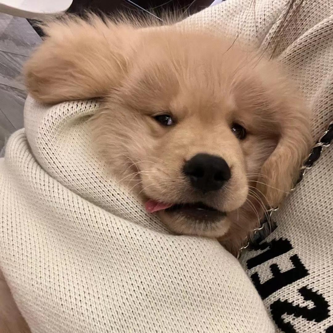 我是帅哥林奈果