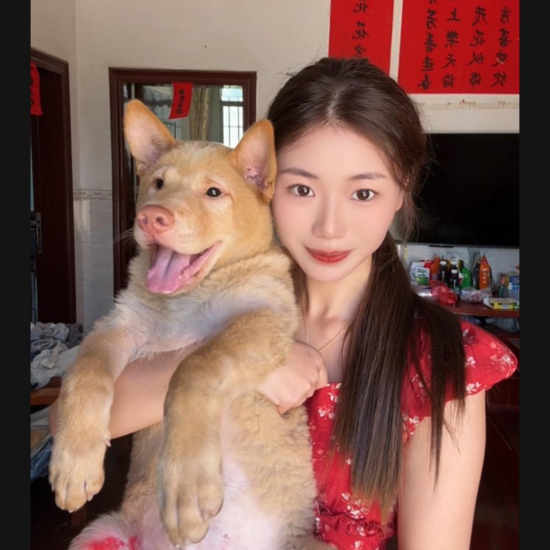财多多
