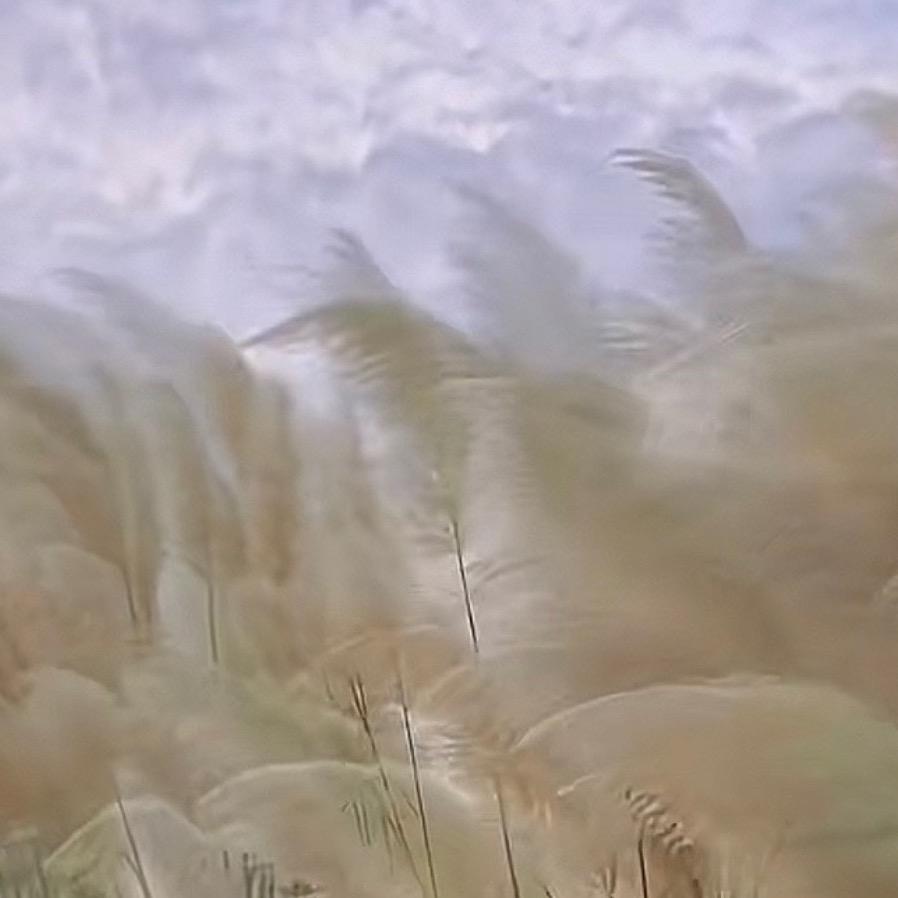 笑笑特色小百货