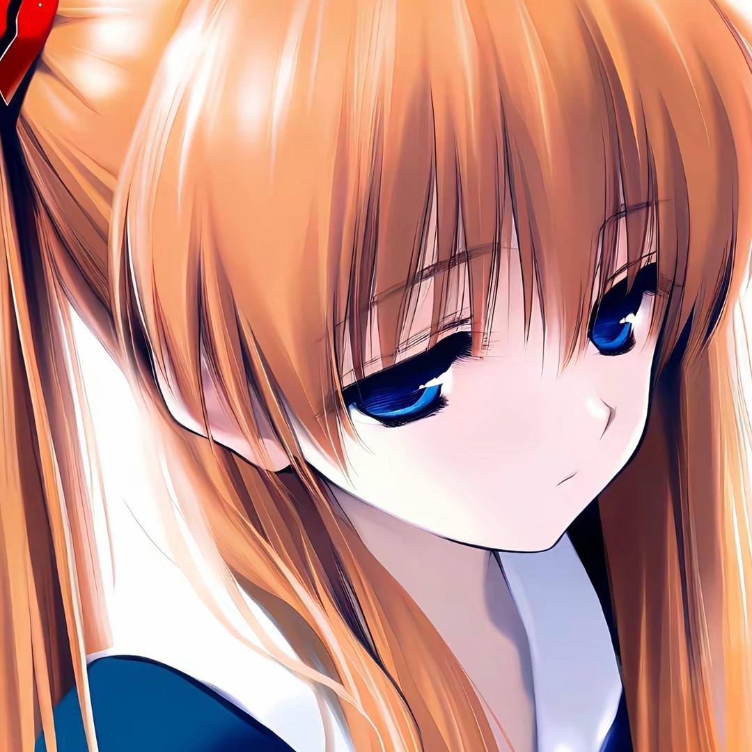 狸猫