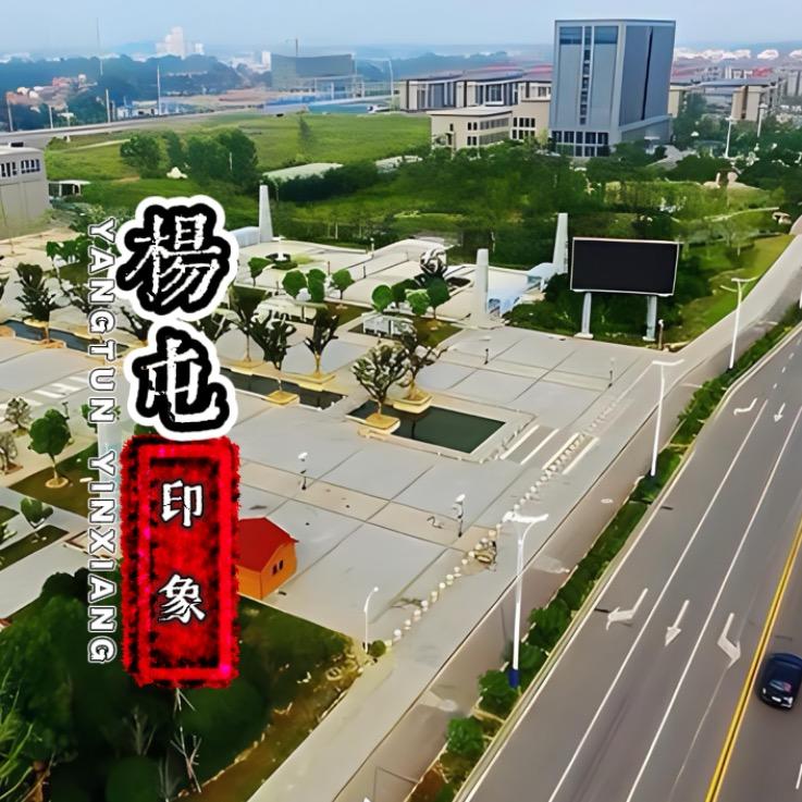杨屯•印象