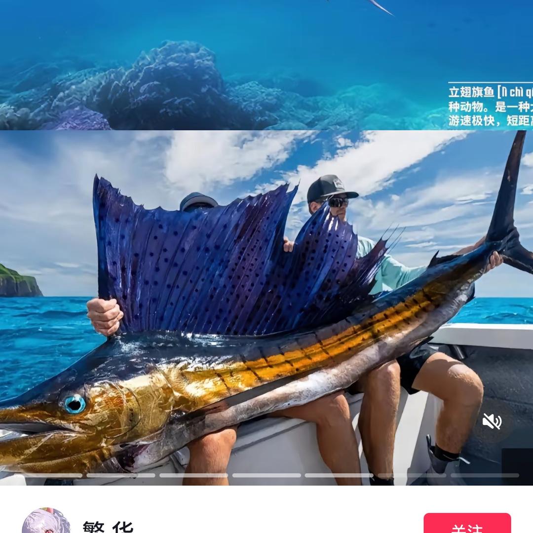 大洋捕鱼记