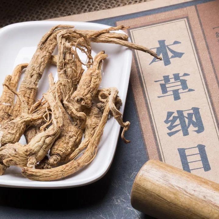 新城
