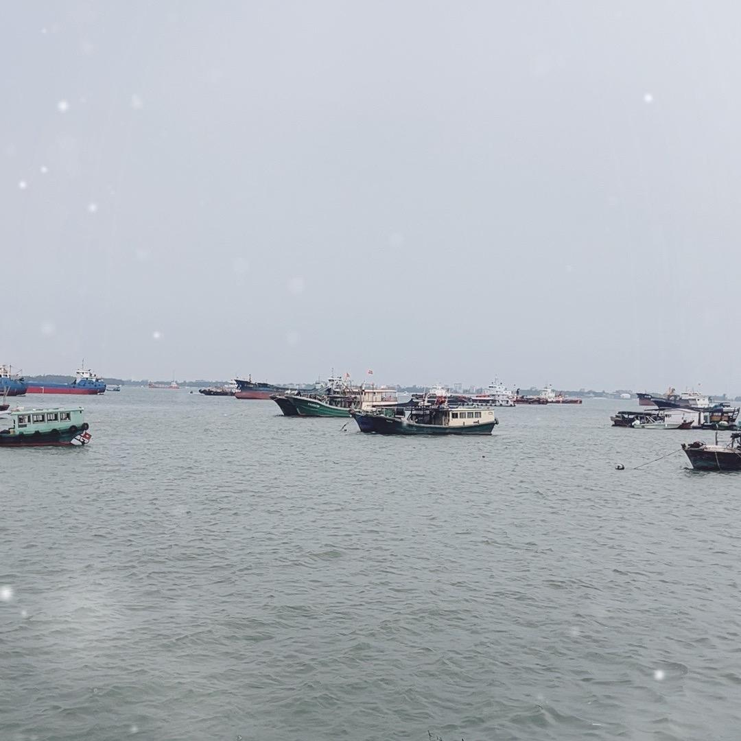 大鱼海产直供