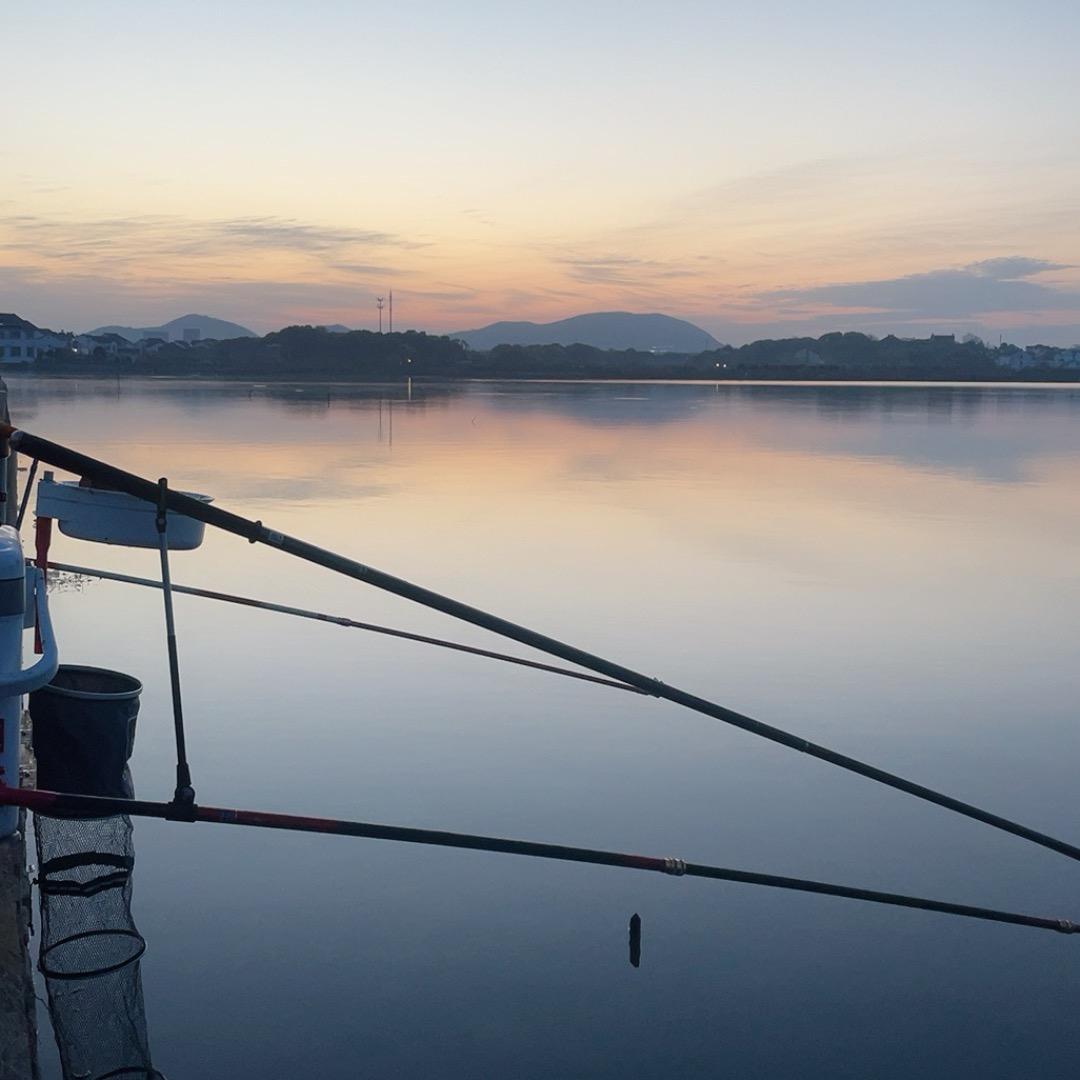 豫_C小伙子(出售山绵羊）🐑