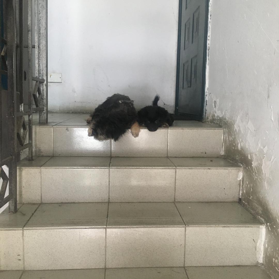 戒戒戒