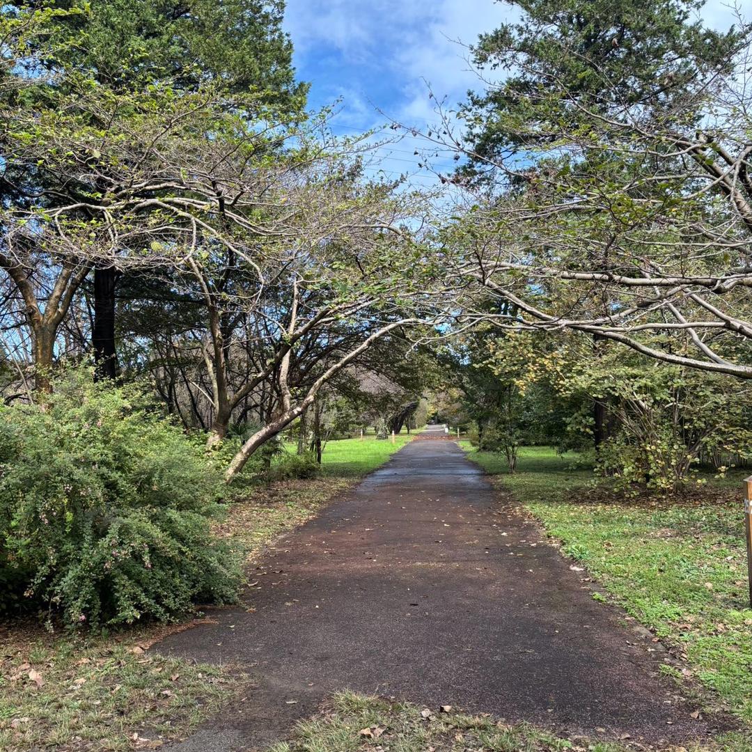 不吃香菜🧝🏻‍♀️