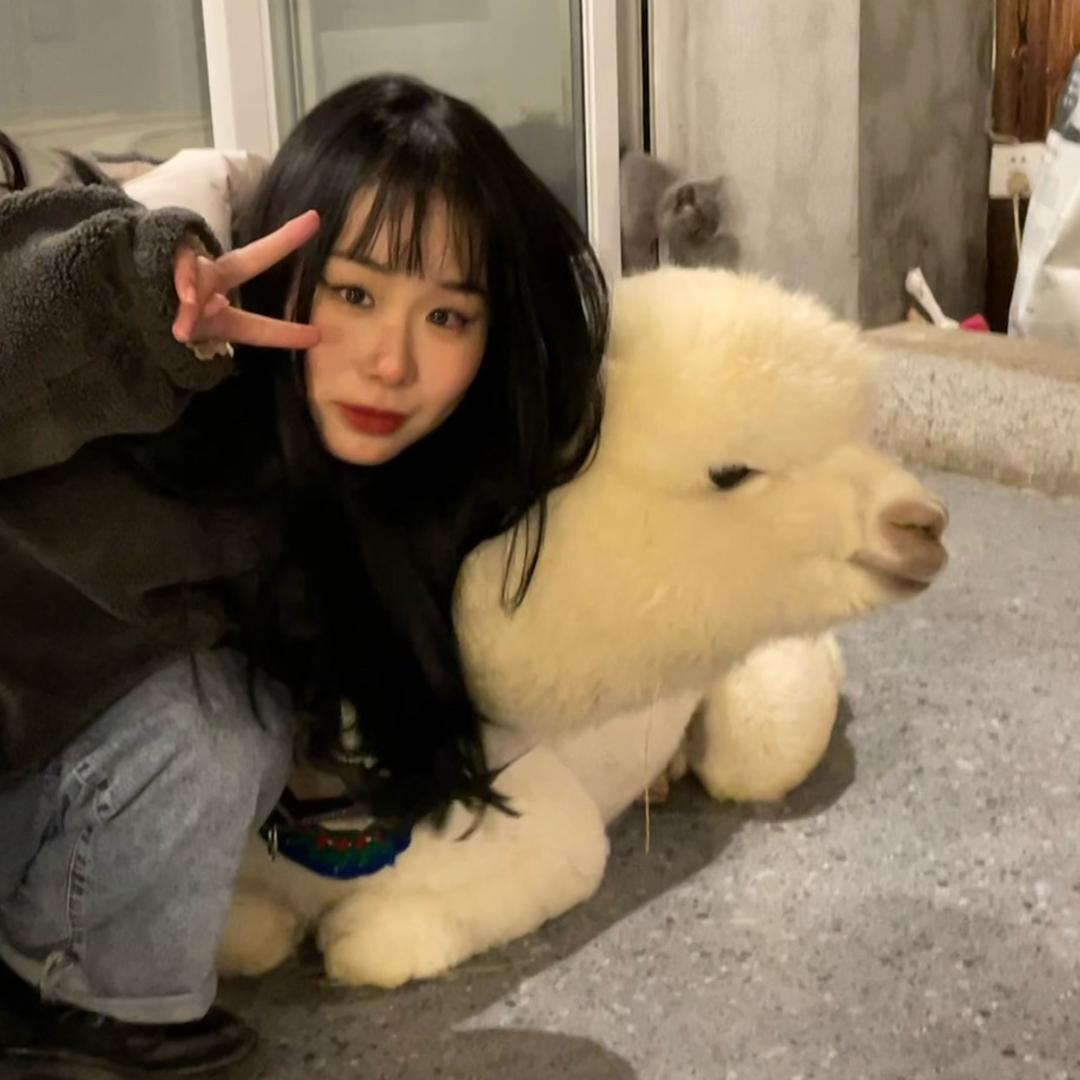 Yomi（三巡四巡都看过版）