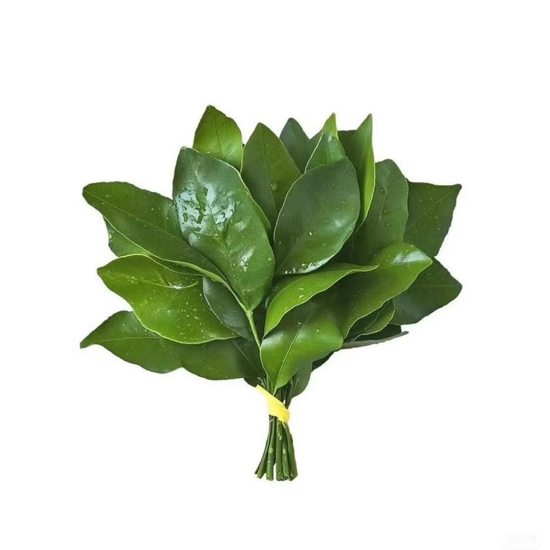小u梨🍐