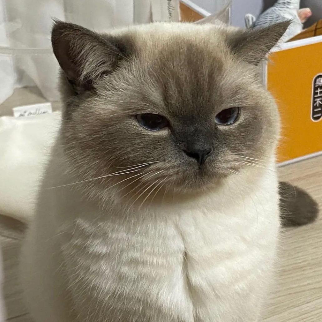 我的心情日记