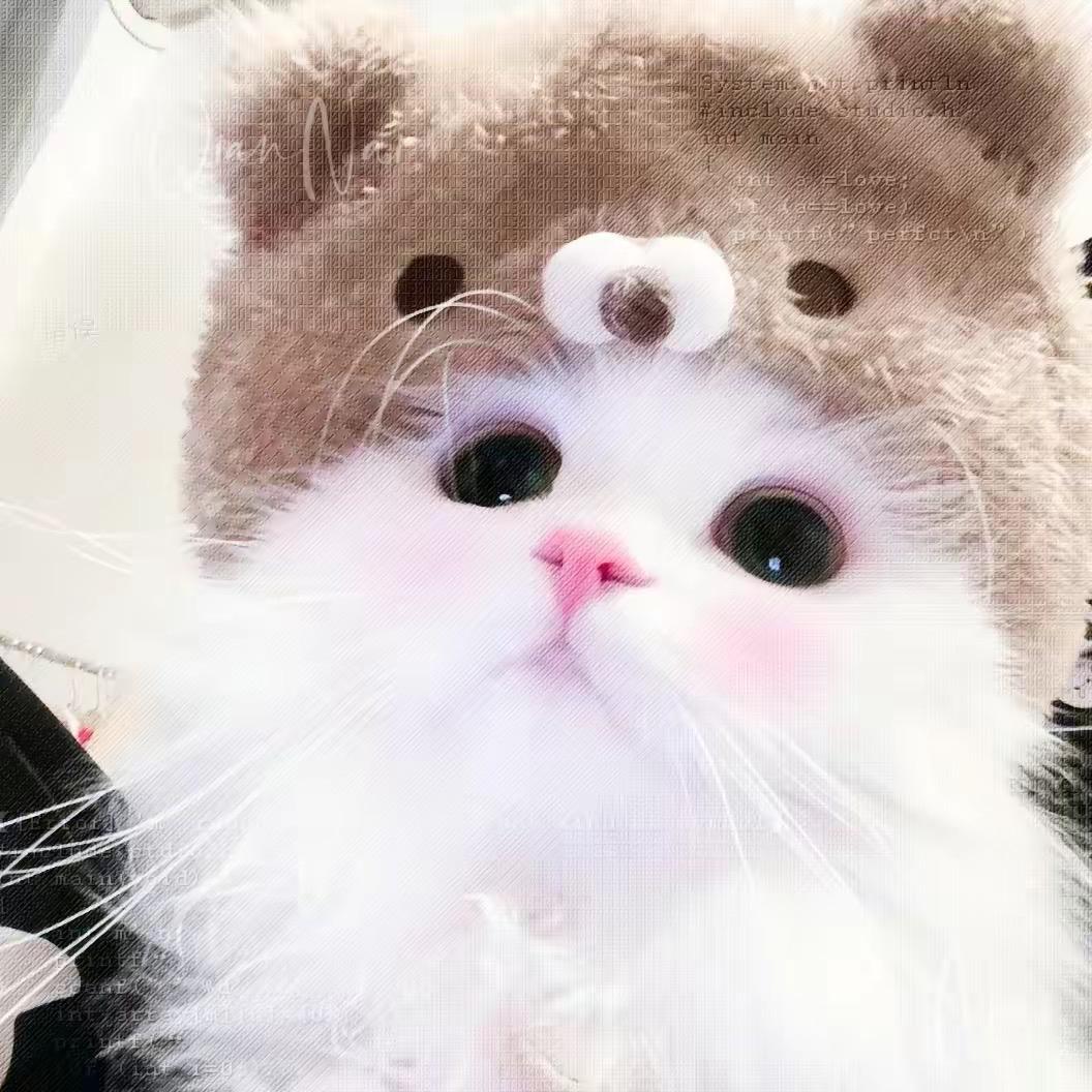GLD碧虚