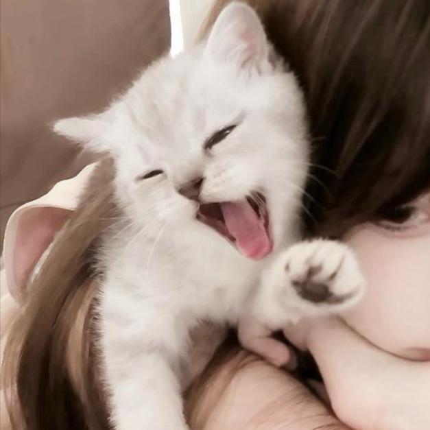 人
