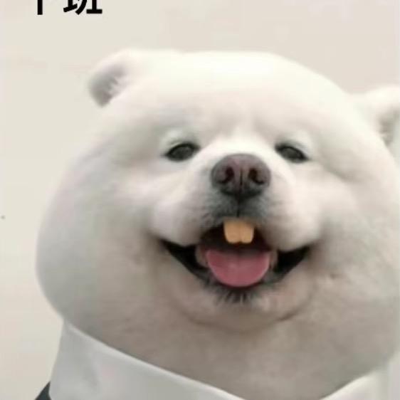 苏州租房 小柳
