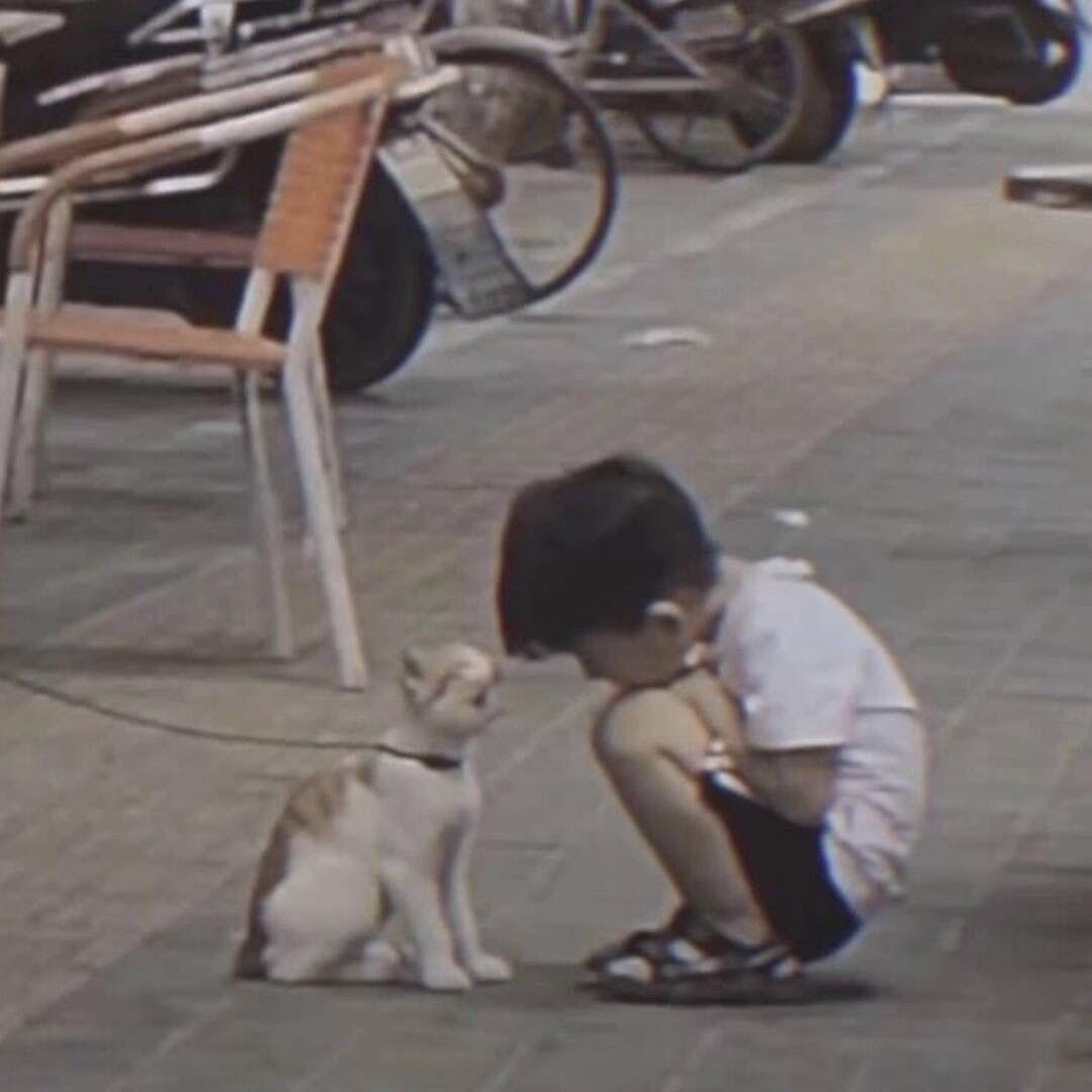 阿晨不能喝🍵