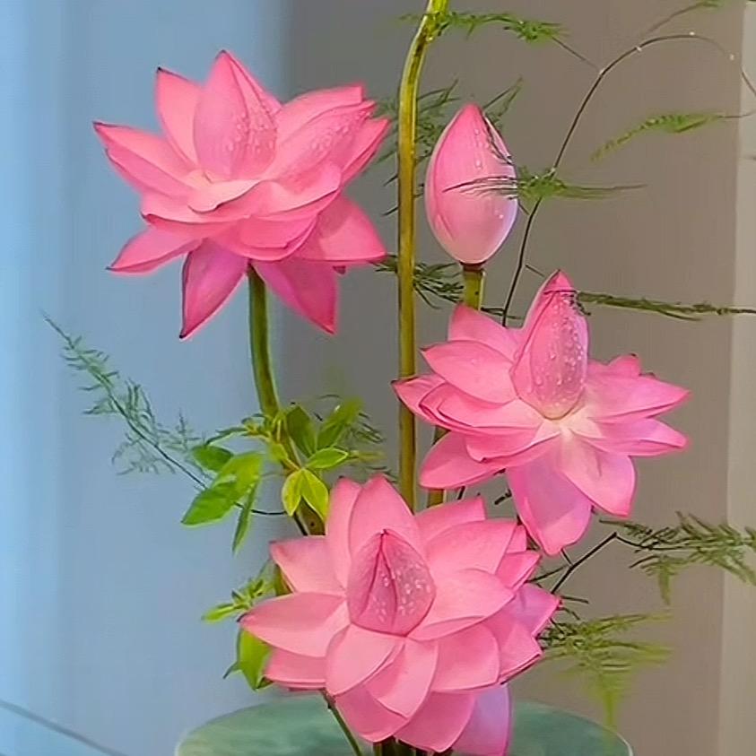 💕墨墨