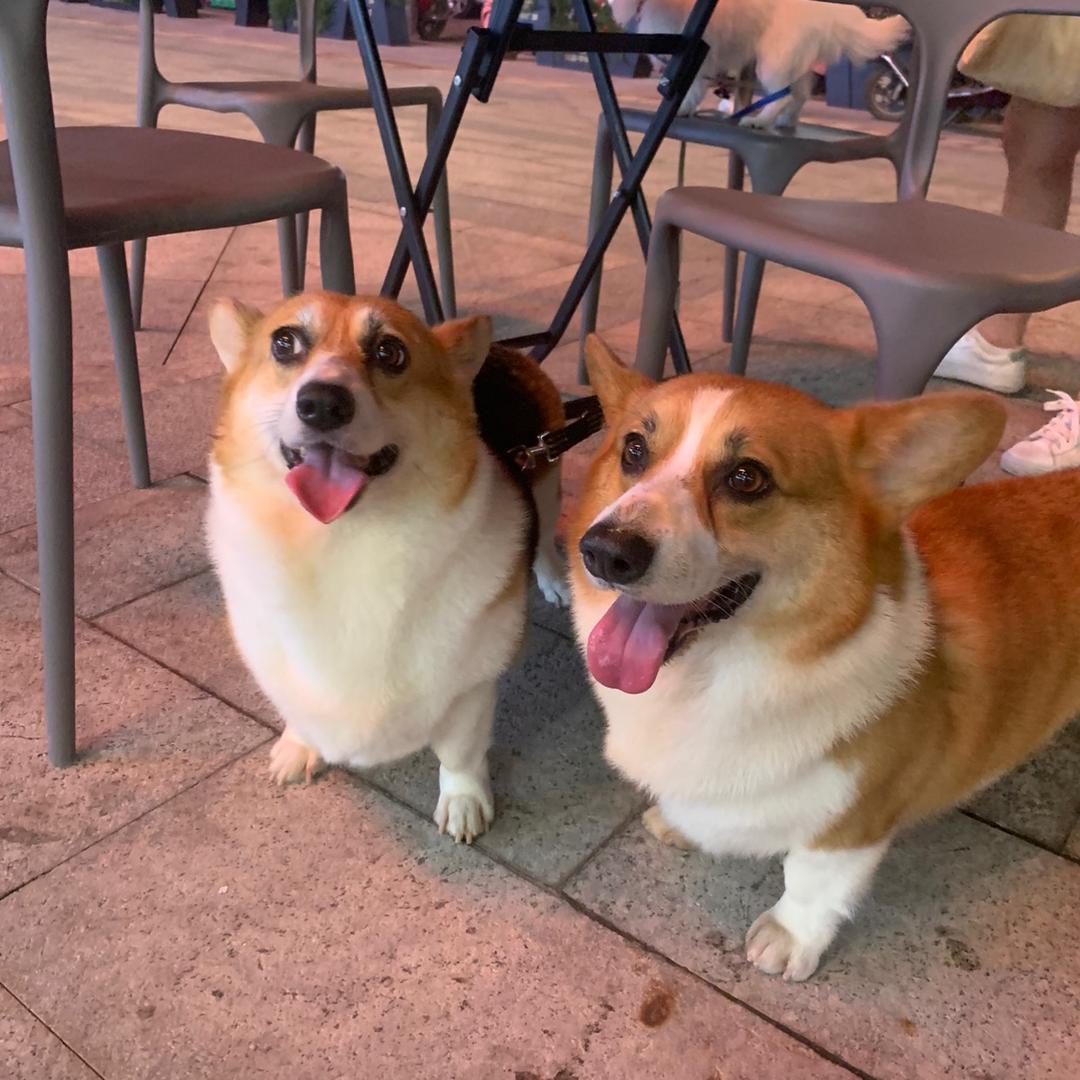 ✨十一&小财迷💫