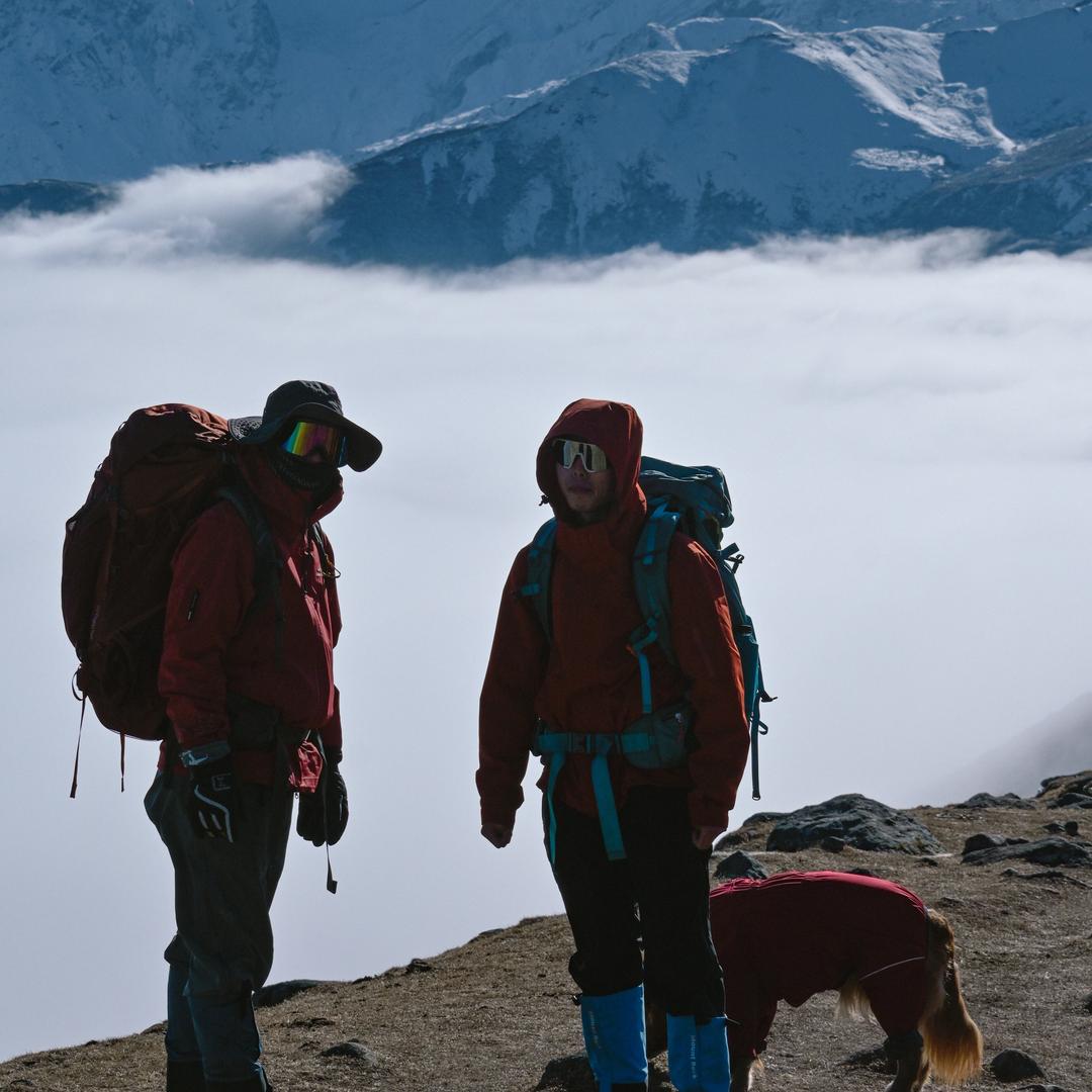 各种不吃香菜的困包