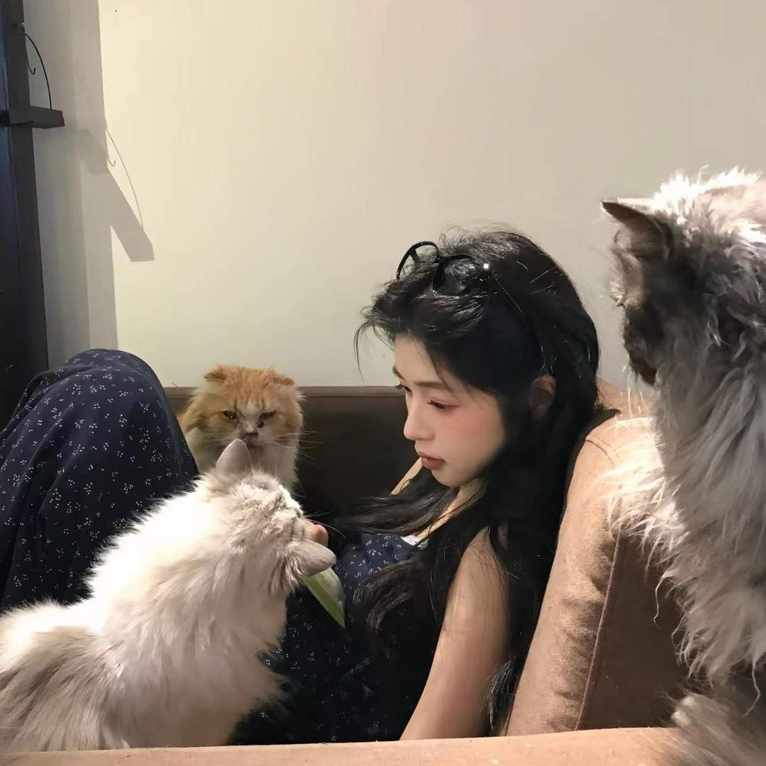 惠子Feifei（女装）