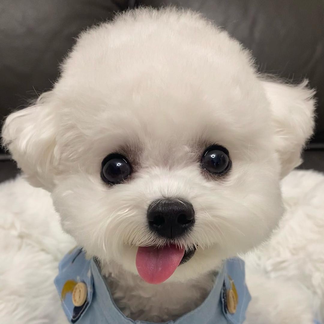 小可乐