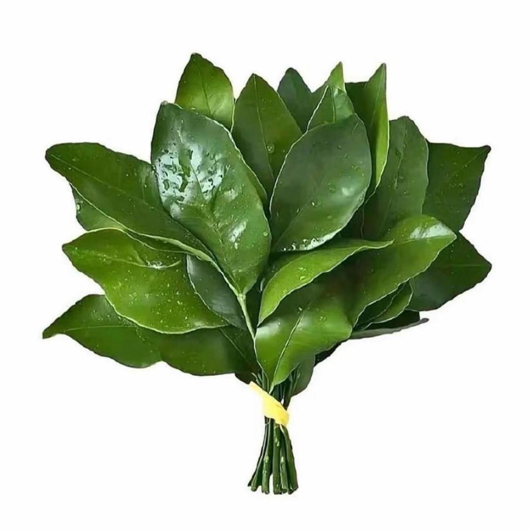 你