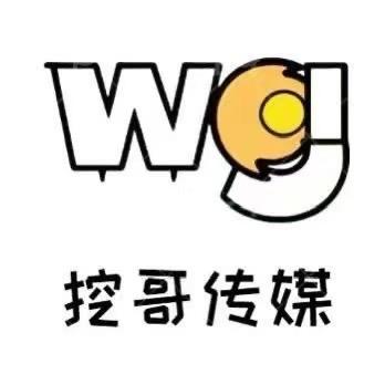 挖哥传媒-河东