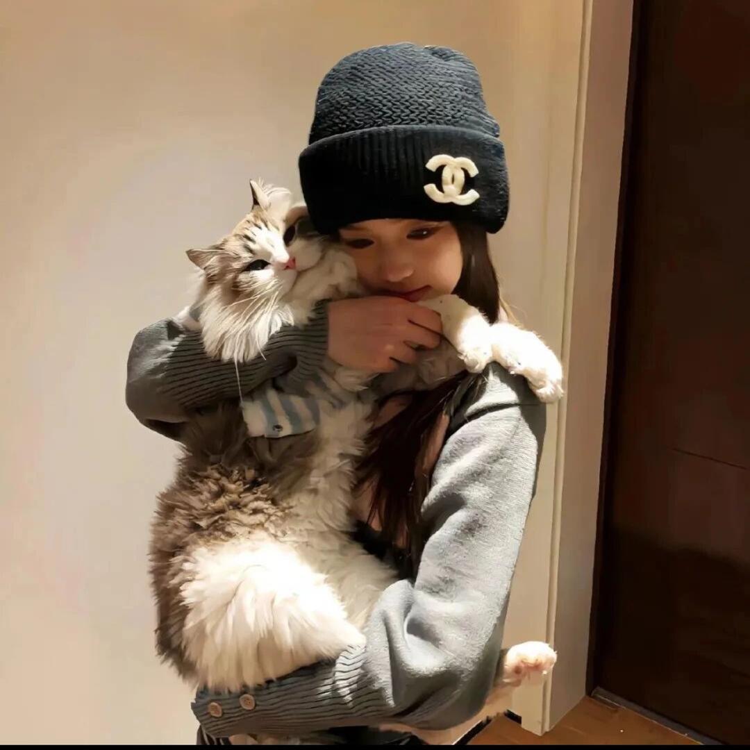 猫饼