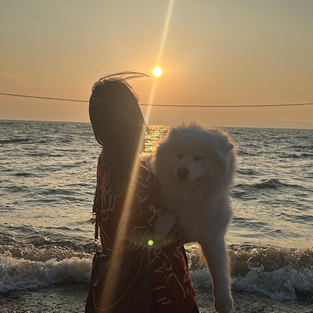 奶橘奶橘的花儿呀yu