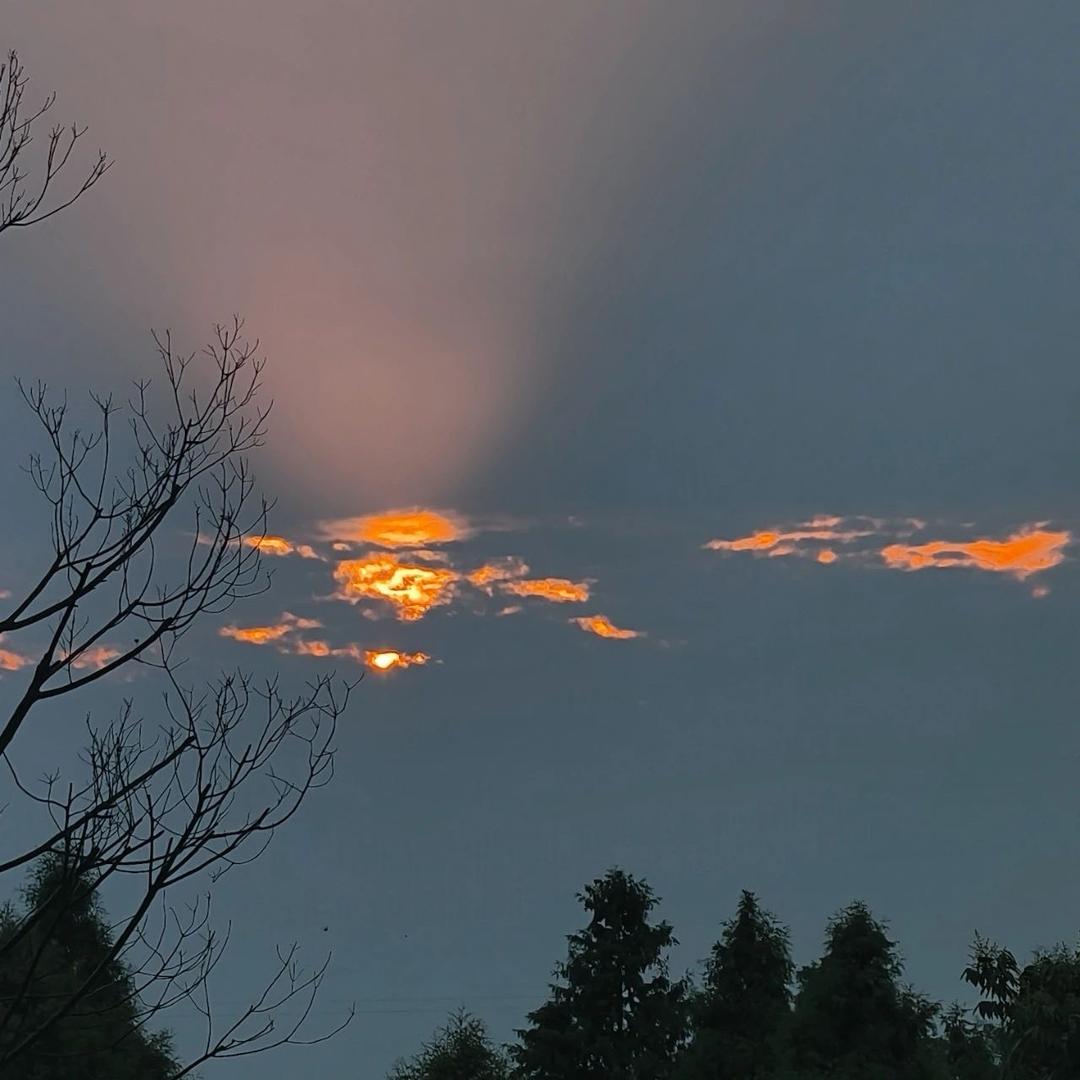 带往莫斯科的冬季-