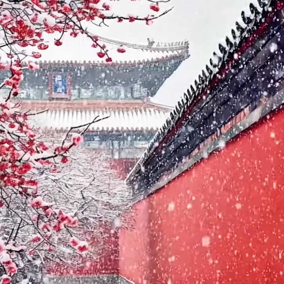 人生若只如初见