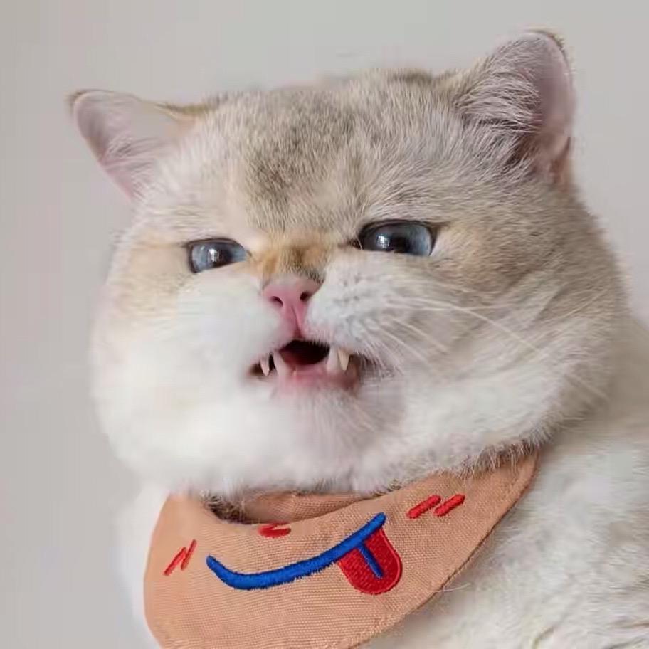 喵了个咪😈