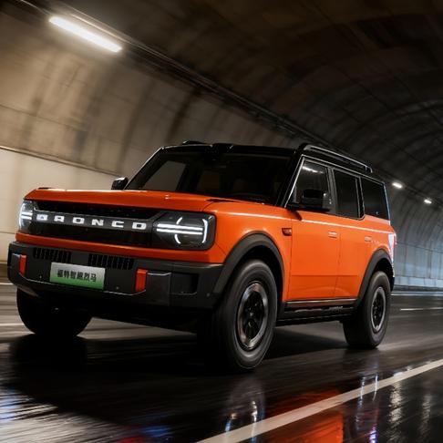 无锡福望福特智趣烈马