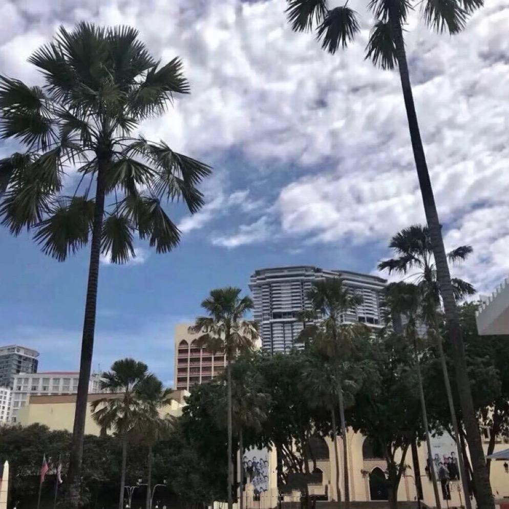 🌴阿明