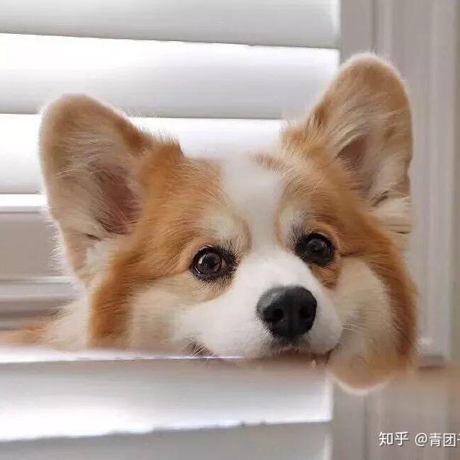 安好！