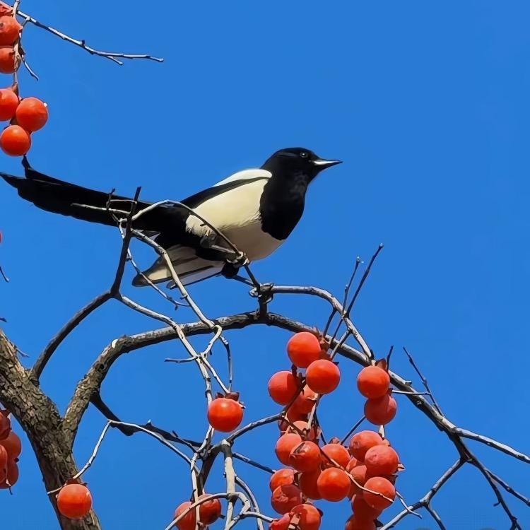 山水相依🌼平安健康