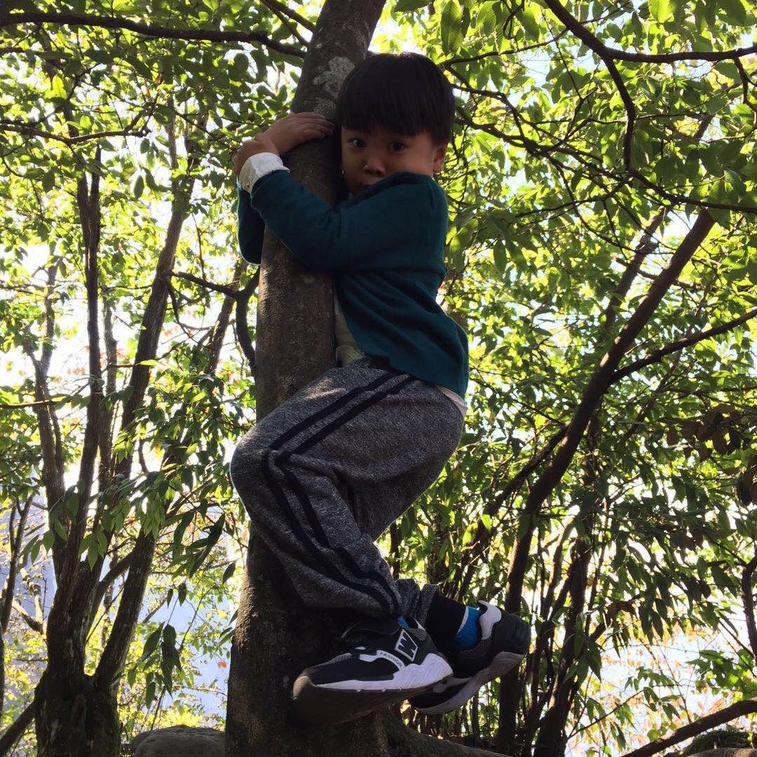 山东淄博东北各种冷水鱼