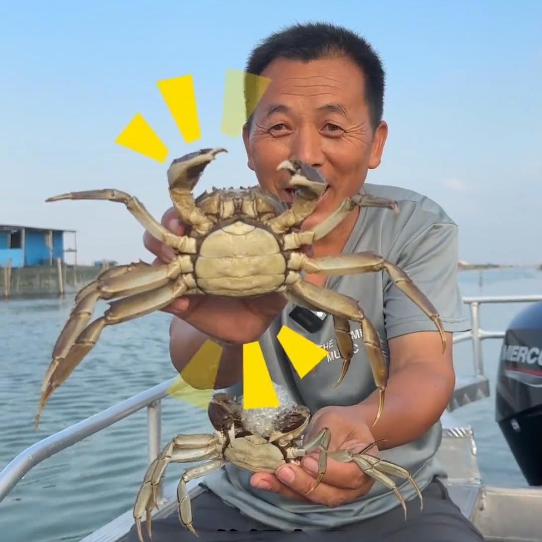 阳澄湖大闸蟹周叔家