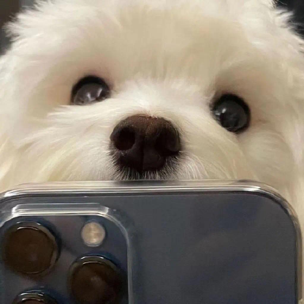 PP不减肥