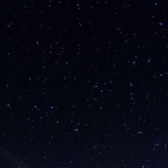 朋