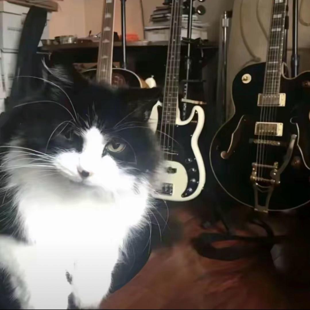 刘浩存圈外男友