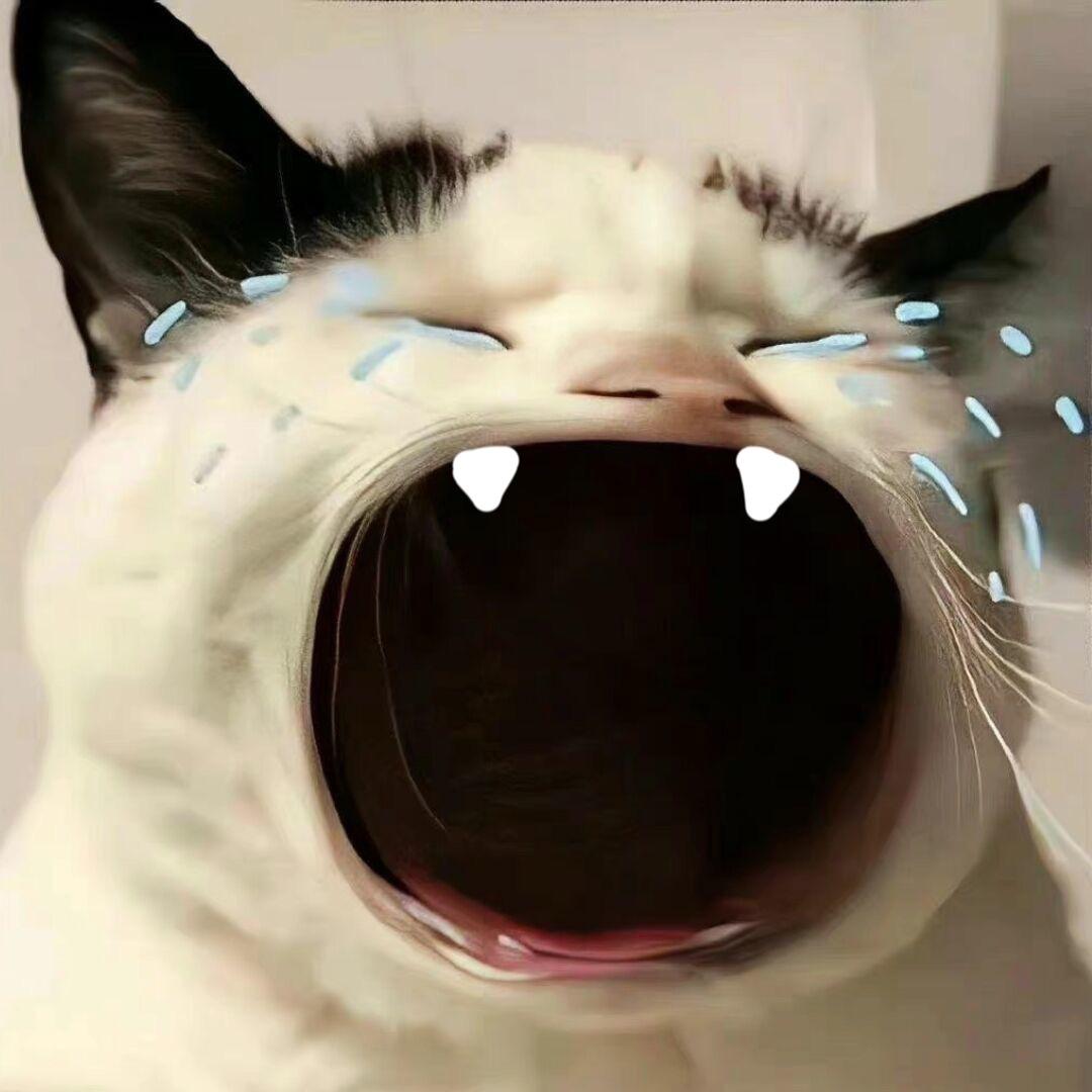 我是里脊肉