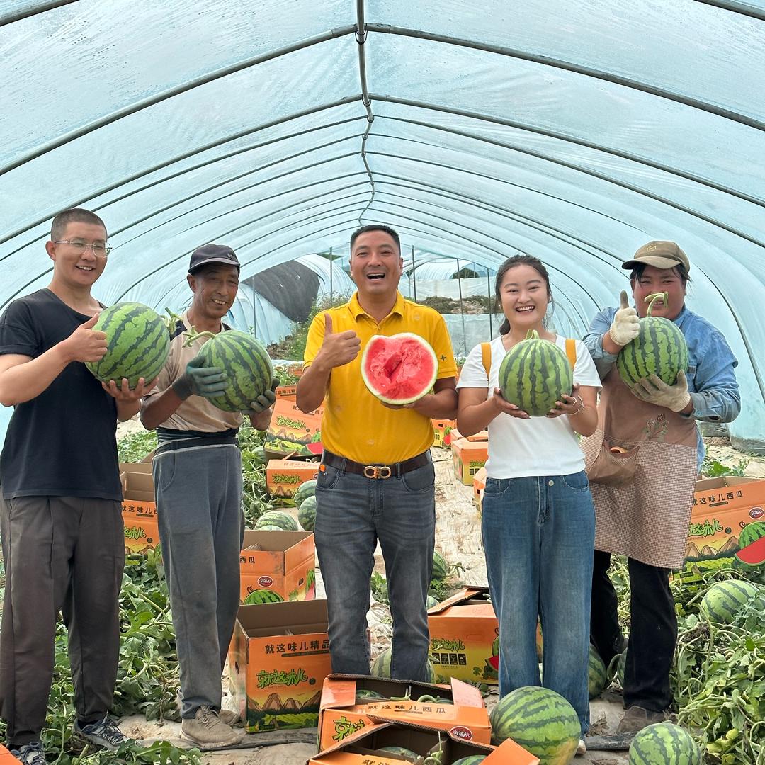 水果玩家丹丹妹