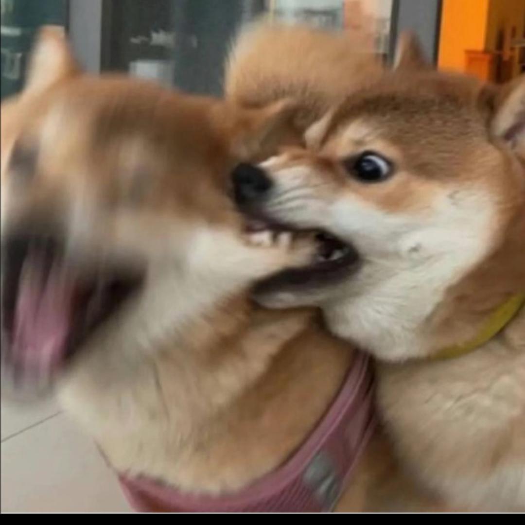 就踹瘸子的好腿