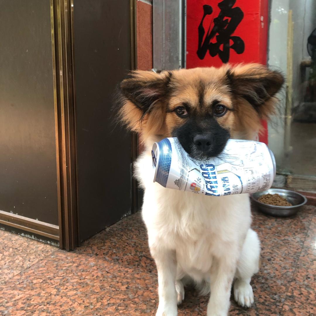 米宝看店