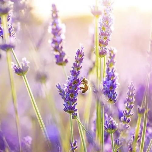 辰蕾萱日用百货小店