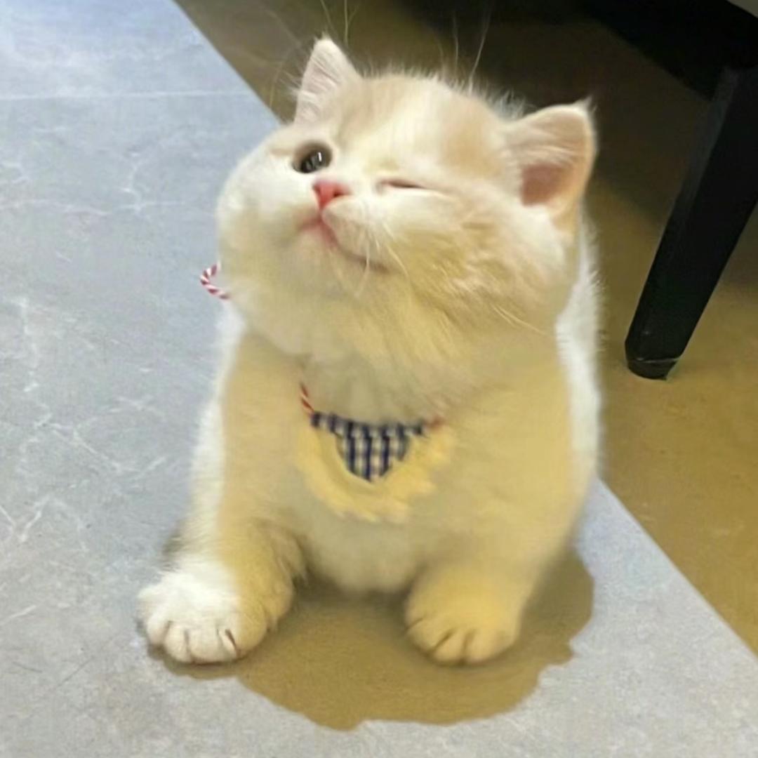 哈哈啦