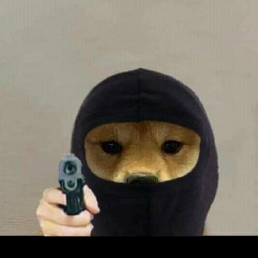 csgoskins