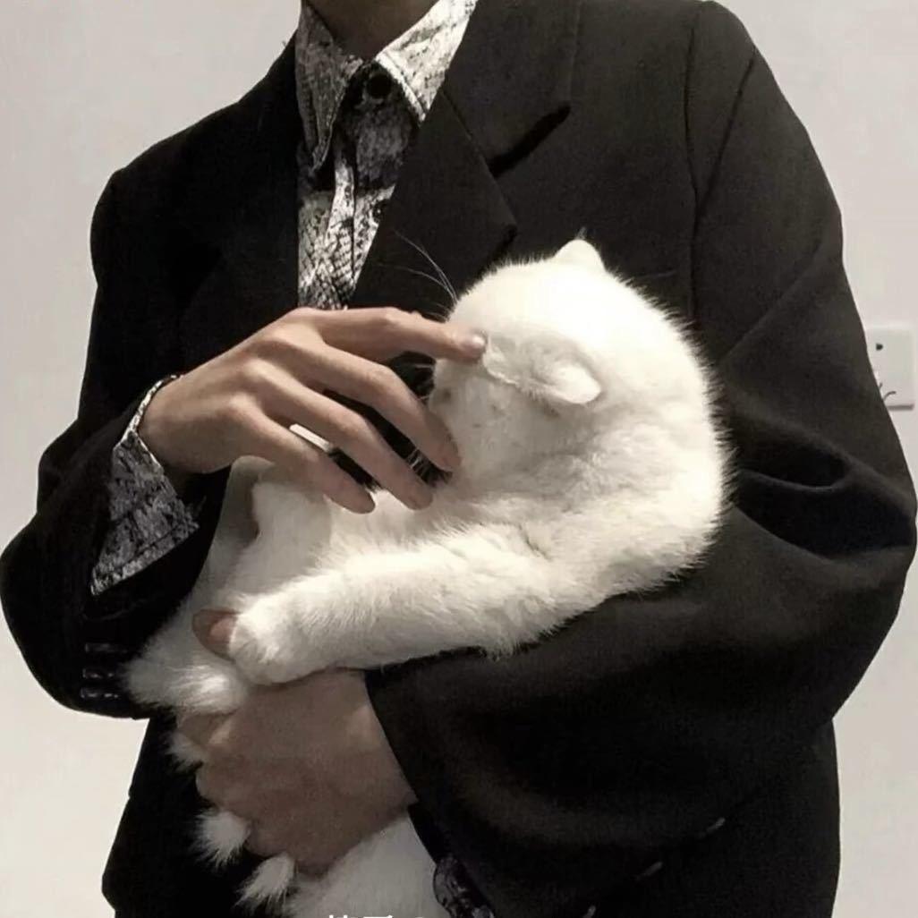小叶！