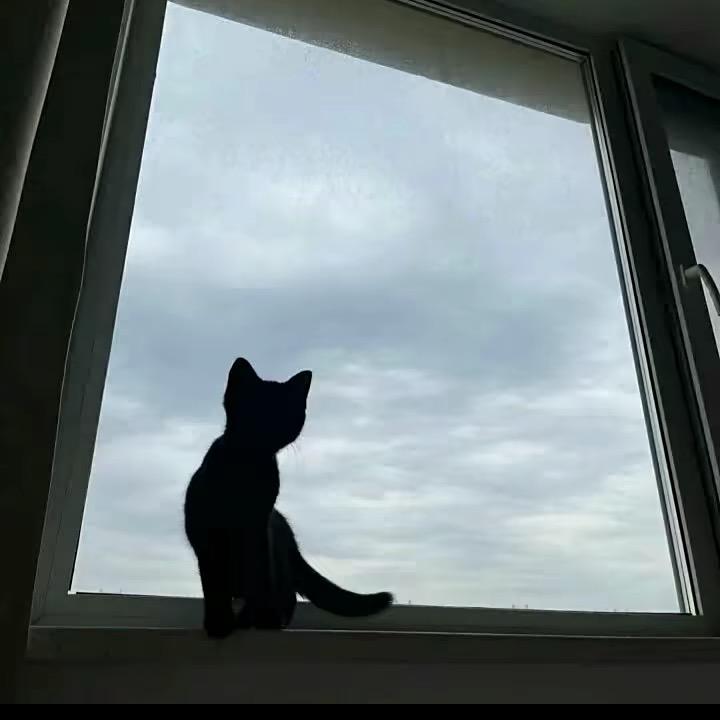 西红柿炒番茄.