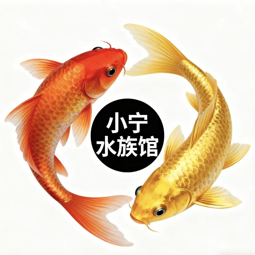 小宁水族