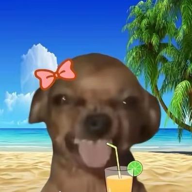 尐懒猫つ